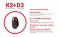 k2+d3.jpg