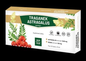 Traganek Astragalus ekstrakt 10x10ml (fiolki) GINSENG POLAND