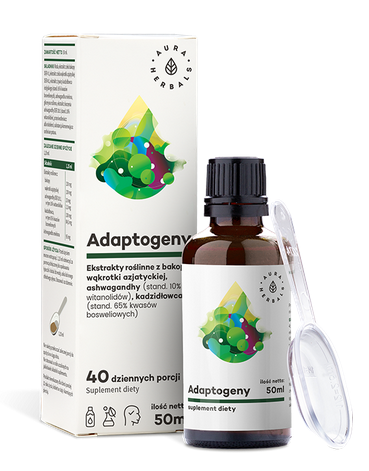 Zrzut ekranu 2022-11-04 115422.png