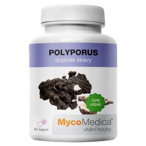 polyporus-90-kaps-30-polisacharydow-mycomedica-zagiew-wieloglowa-grifola-umbellata-polyporus-umbellatus.jpg
