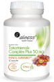 packshot net.jpg