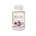 Progress Labs Niacyna Witamina B3 (PP) 500mg + Inulina 120 Kaps.